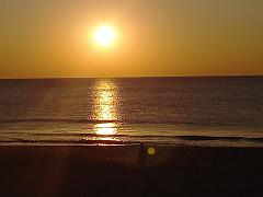 Sylt (124)